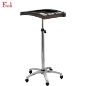 Sealbhóir Scuab Dath Aicrileach Inchoigeartaithe